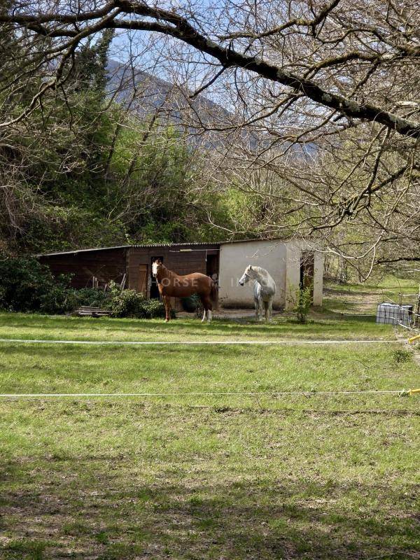 Hippisch vastgoed Koop Dr&ocirc;me