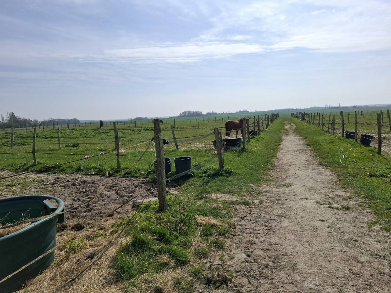 Hippisch vastgoed Koop Loiret