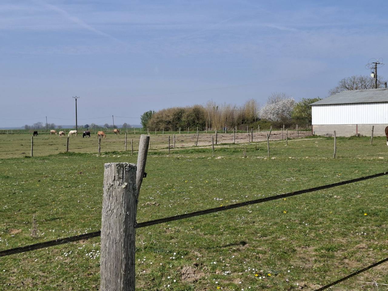 Hippisch vastgoed Koop Loiret