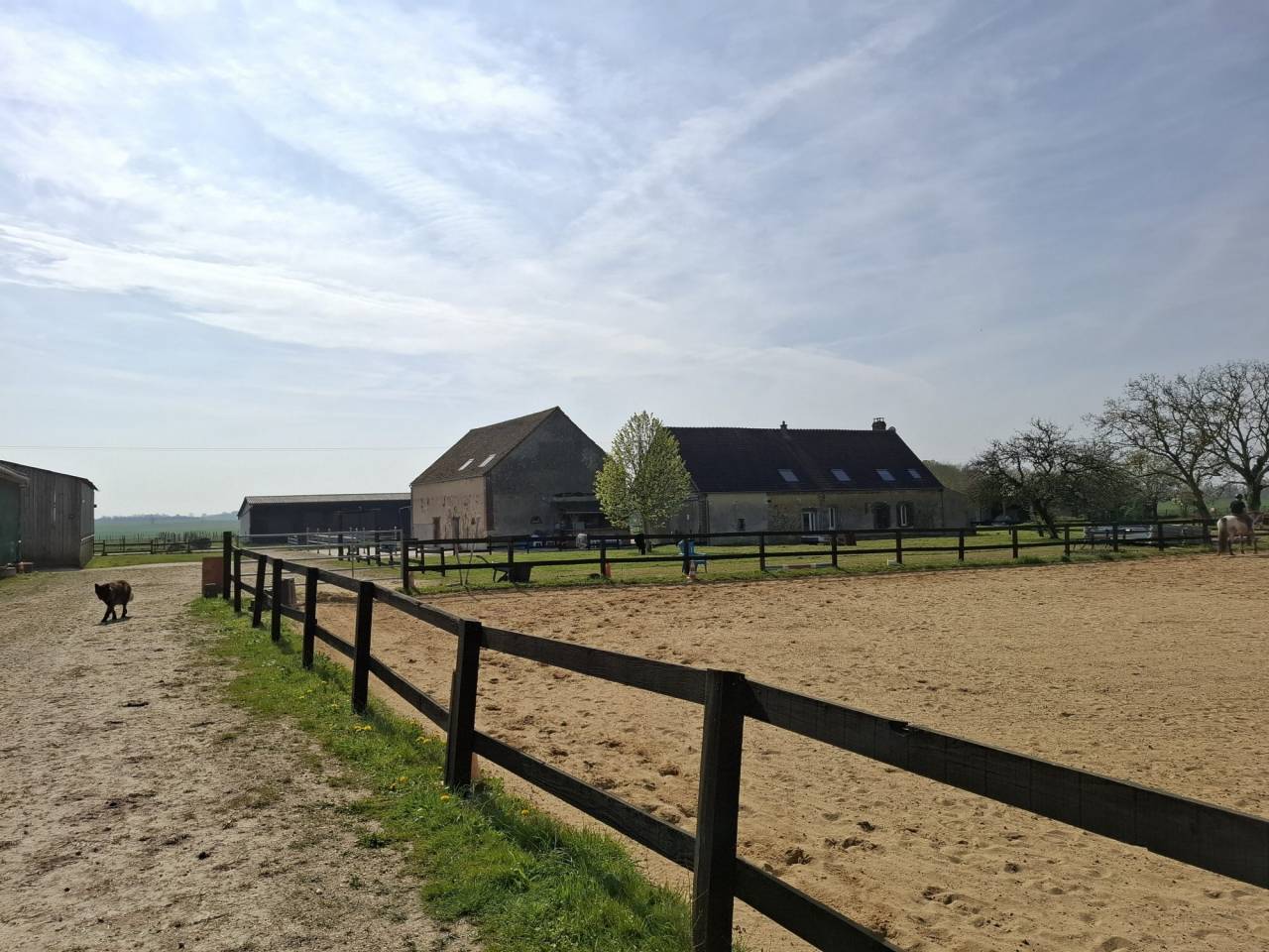 Hippisch vastgoed Koop Loiret