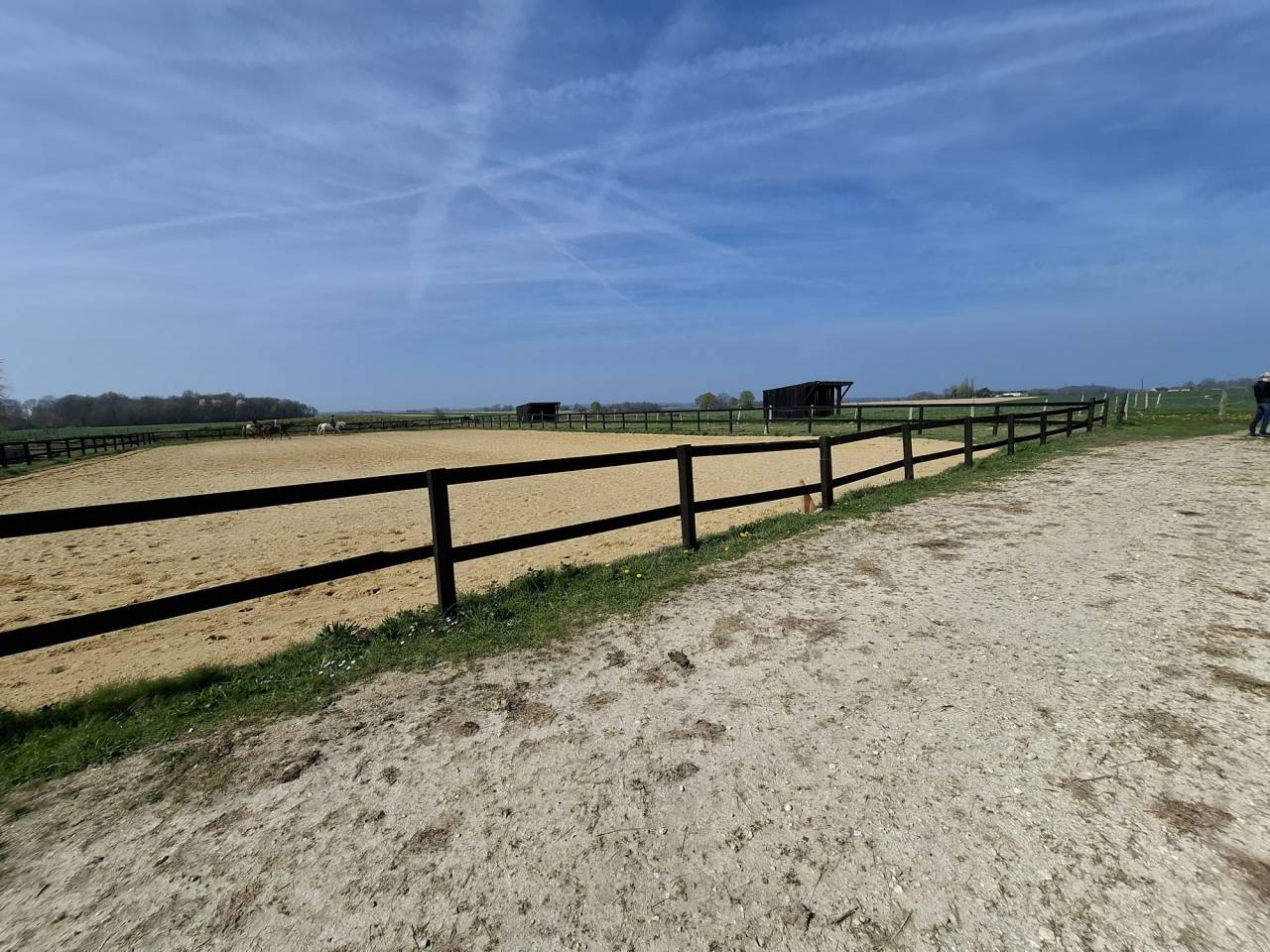 Hippisch vastgoed Koop Loiret