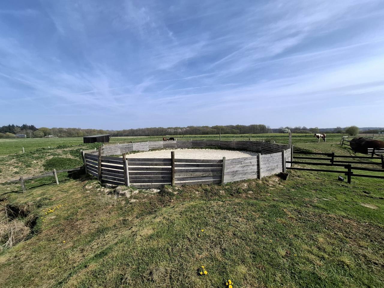 Hippisch vastgoed Koop Loiret