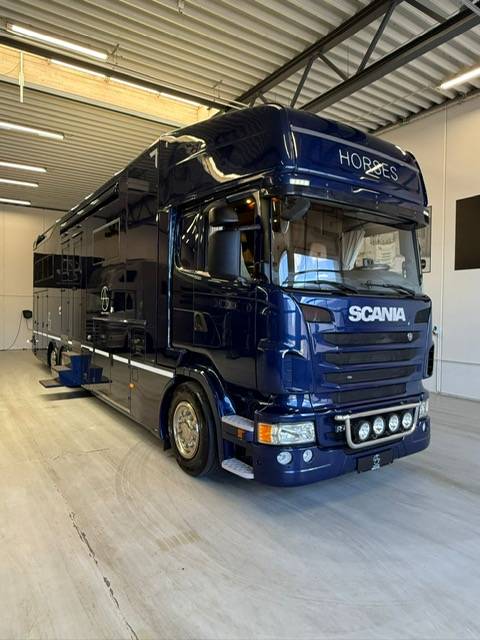 Zware paardenvrachtwagen (groot rijbewijs) Scania Interhorse 2013 Tweedehands