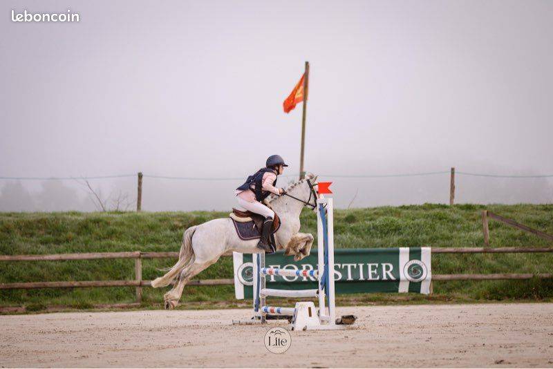 Ruin Connemara Te koop 2021 Schimmel ,  Gershwin ar kamen