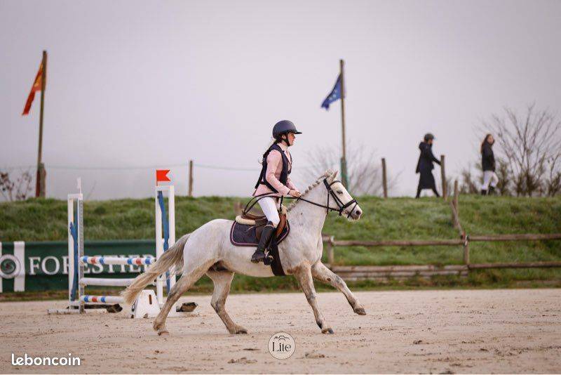 Ruin Connemara Te koop 2021 Schimmel ,  Gershwin ar kamen