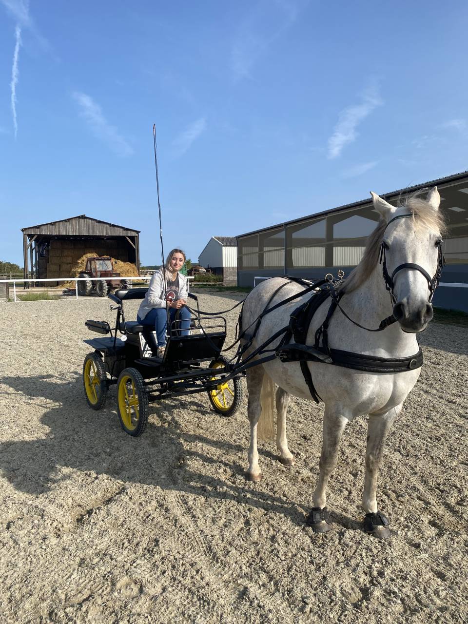Rijtuigen - Cal&egrave;che - Ander merk - Marathon 