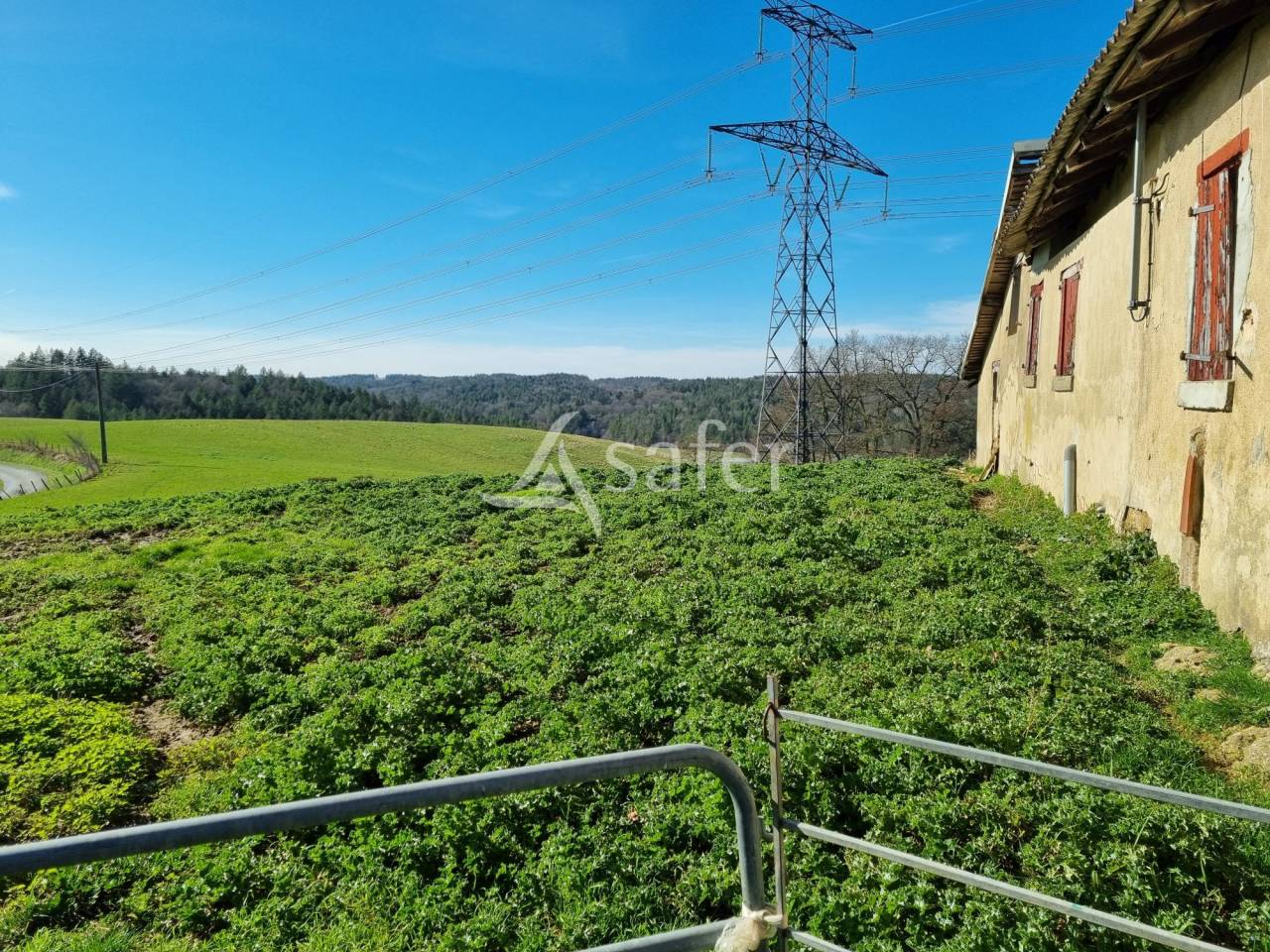 Landbouw bedrijf Koop Haute-Garonne