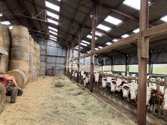 Landbouw bedrijf Koop Jura
