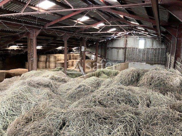 Landbouw bedrijf Koop Jura