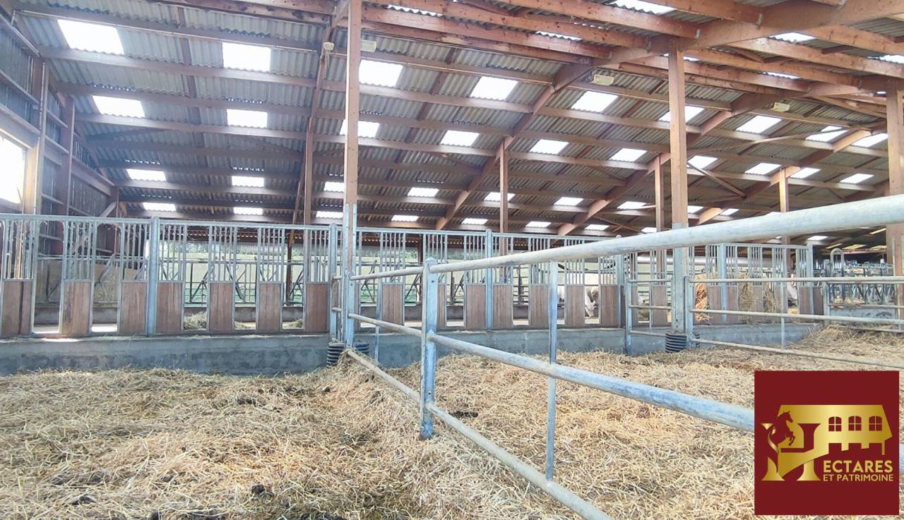 Hippisch vastgoed Koop Ain