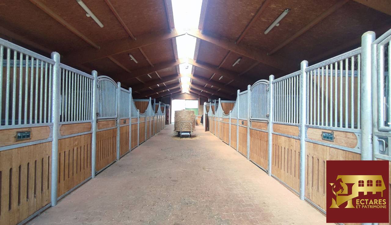Hippisch vastgoed Koop Ain
