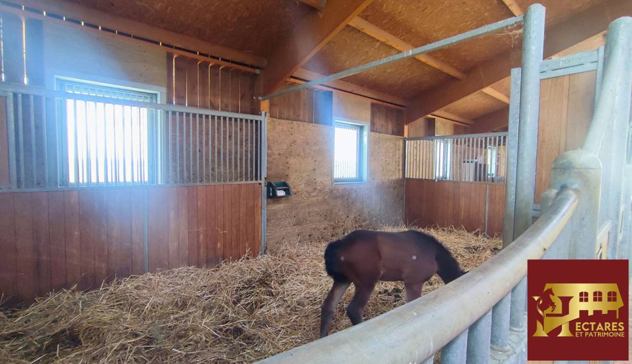 Hippisch vastgoed Koop Ain