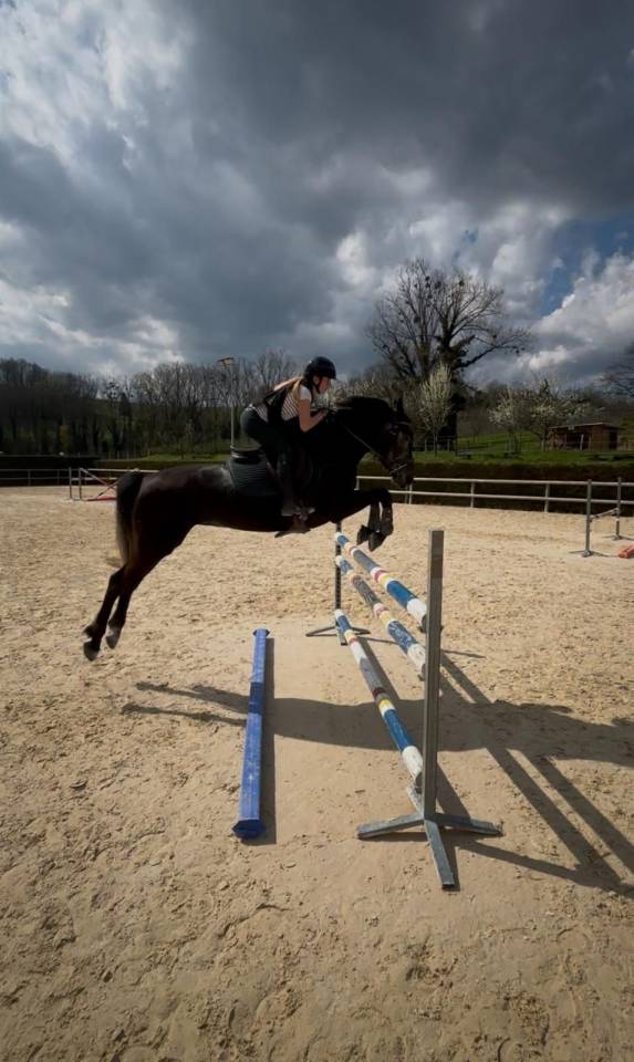 Merrie Selle Fran&ccedil;ais Te koop 2022 Schimmel ,  Ekano DKS