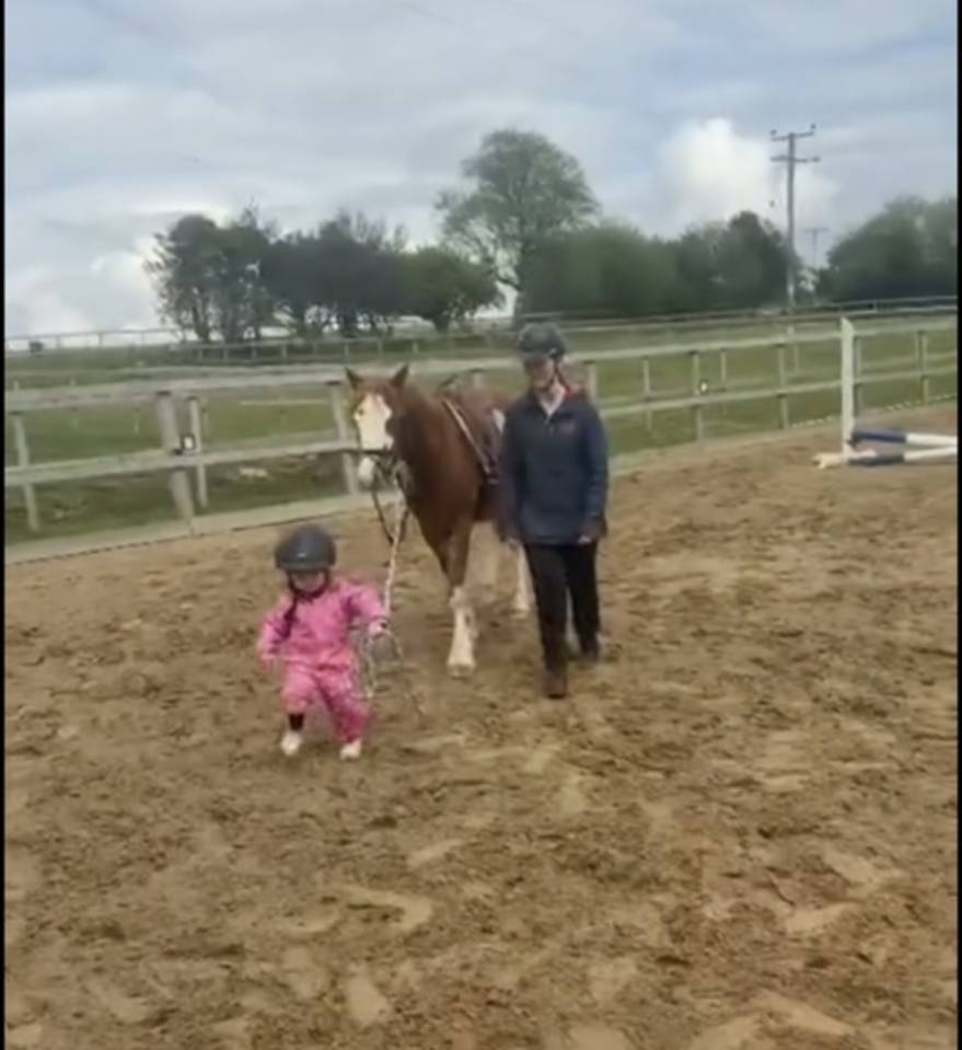 Merrie Welsh Pony (Section C) Te koop 2023 Vos ,  Goldenrina jury's out