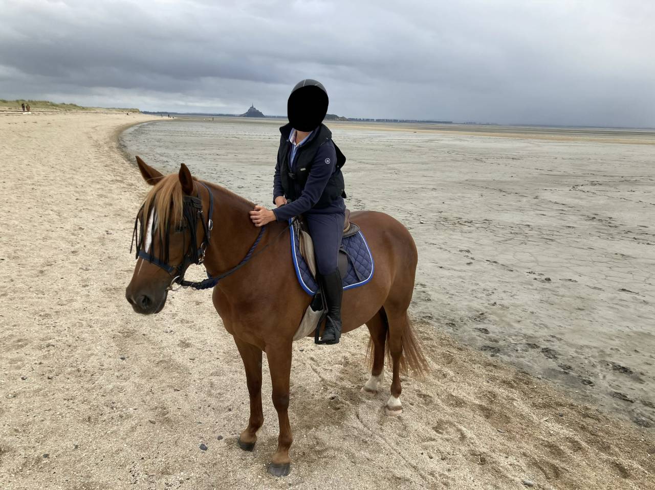 Merrie Bekend ras Te koop 2017 Vos