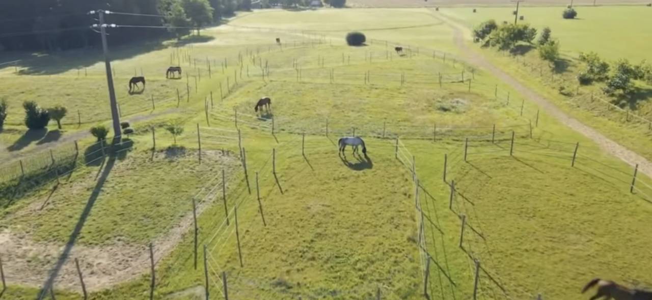 Eigenaren stal Koop Indre-et-Loire