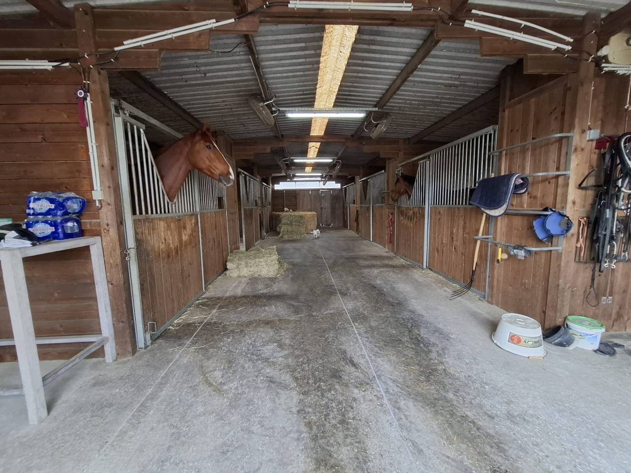 Eigenaren stal Koop Indre-et-Loire