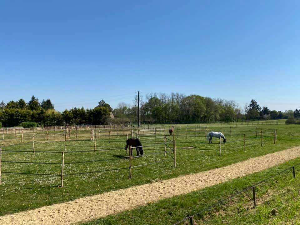 Eigenaren stal Koop Indre-et-Loire