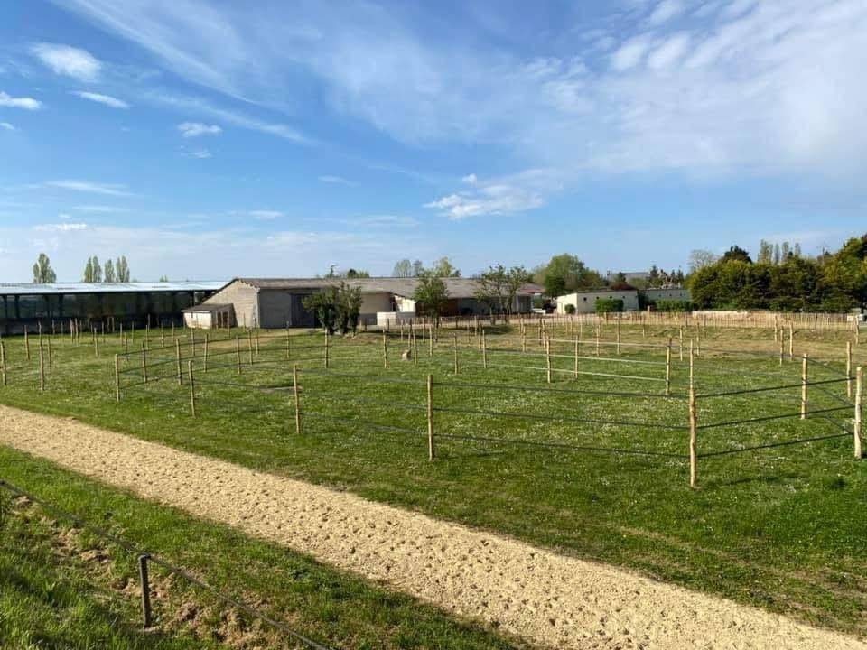 Eigenaren stal Koop Indre-et-Loire