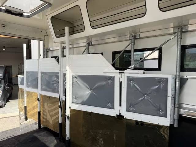 Zware paardenvrachtwagen (groot rijbewijs) Man MAN 0 Tweedehands