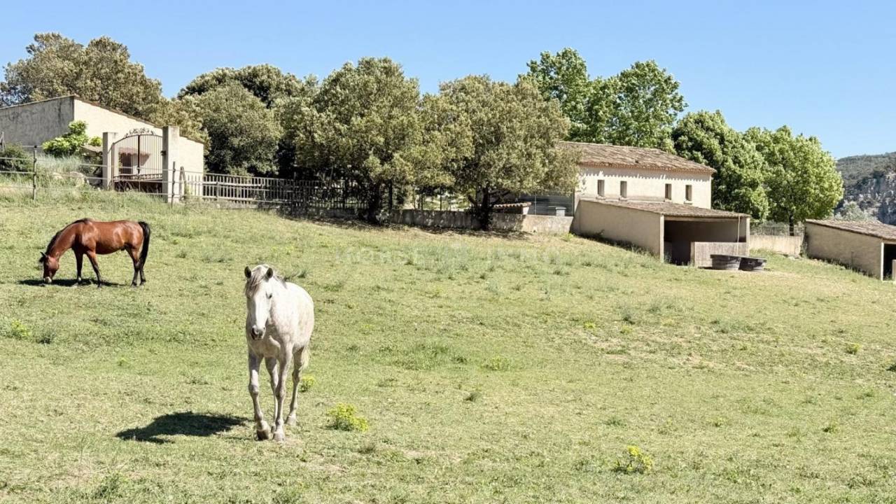 Hippisch vastgoed Koop Alpes-de-Haute-Provence
