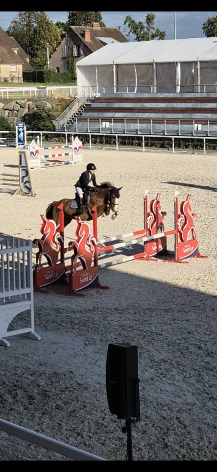 Merrie Franse rijpony PFS Te koop 2019 Vos ,  POPSTAR DES NOUETTES