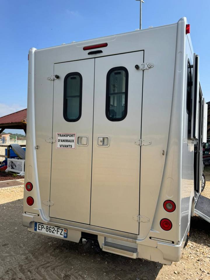 Kleine paardenvrachtwagen (B rijbewijs) Renault Master  2017 Tweedehands