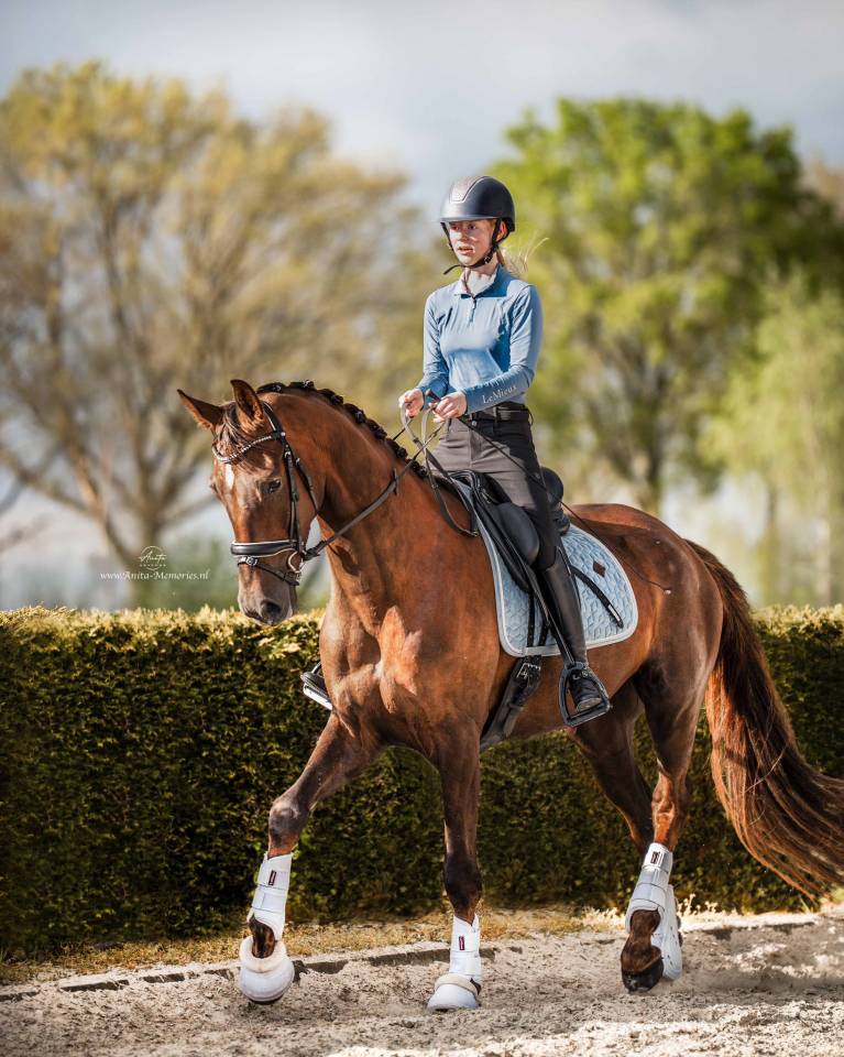 Talentvolle 4‑jarige ruin te koop