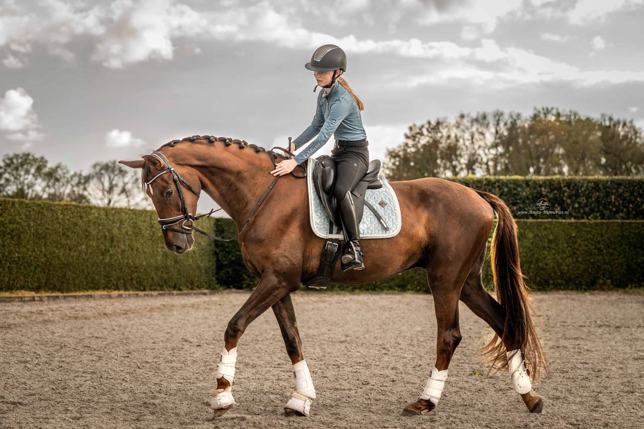 Talentvolle 4‑jarige ruin te koop