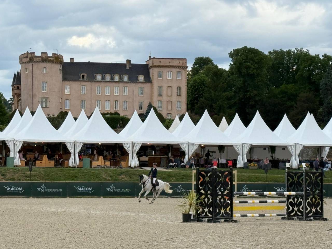 Ruin Franse rijpony PFS Te koop 2016 Schimmel