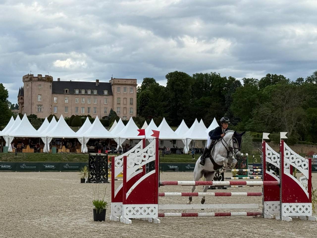 Ruin Franse rijpony PFS Te koop 2016 Schimmel