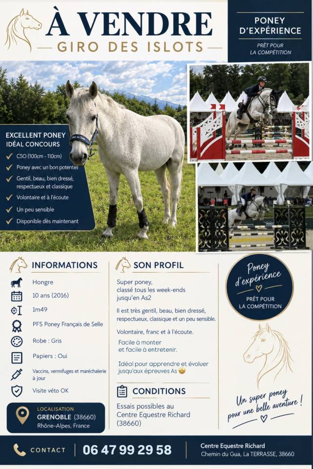 Ruin Franse rijpony PFS Te koop 2016 Schimmel