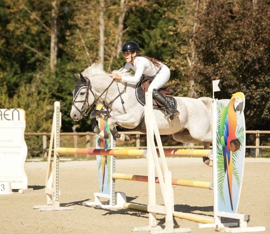 Ruin Franse rijpony PFS Te koop 2016 Schimmel