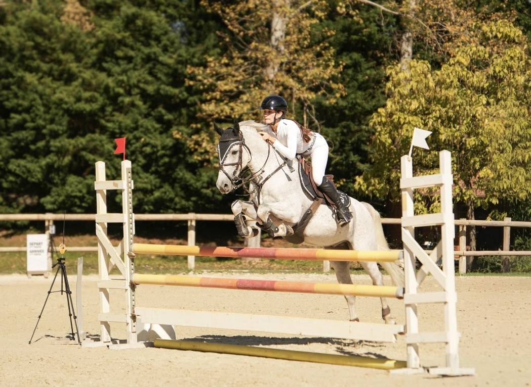 Ruin Franse rijpony PFS Te koop 2016 Schimmel