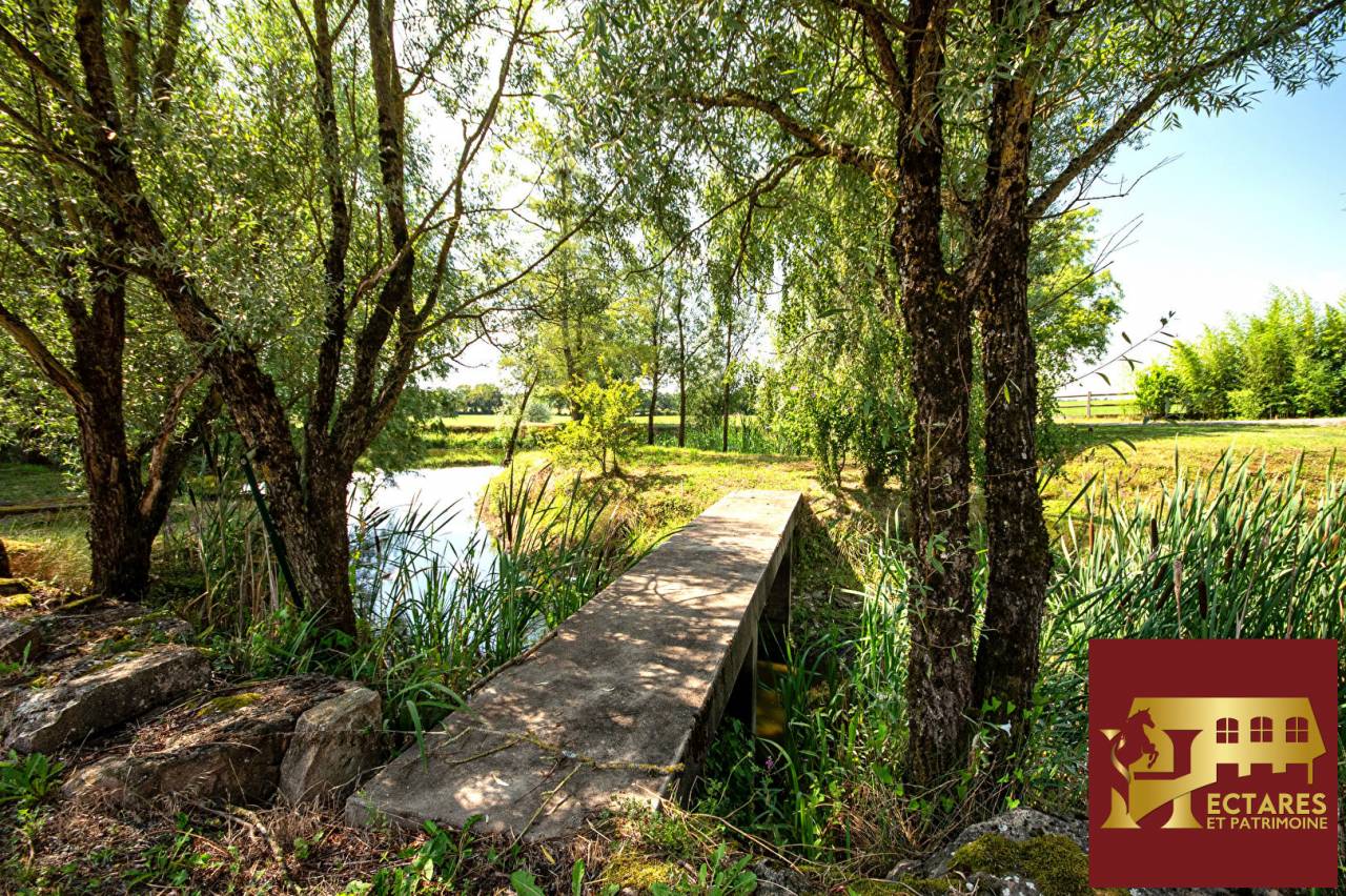 Stoeterij Koop Sa&ocirc;ne-et-Loire