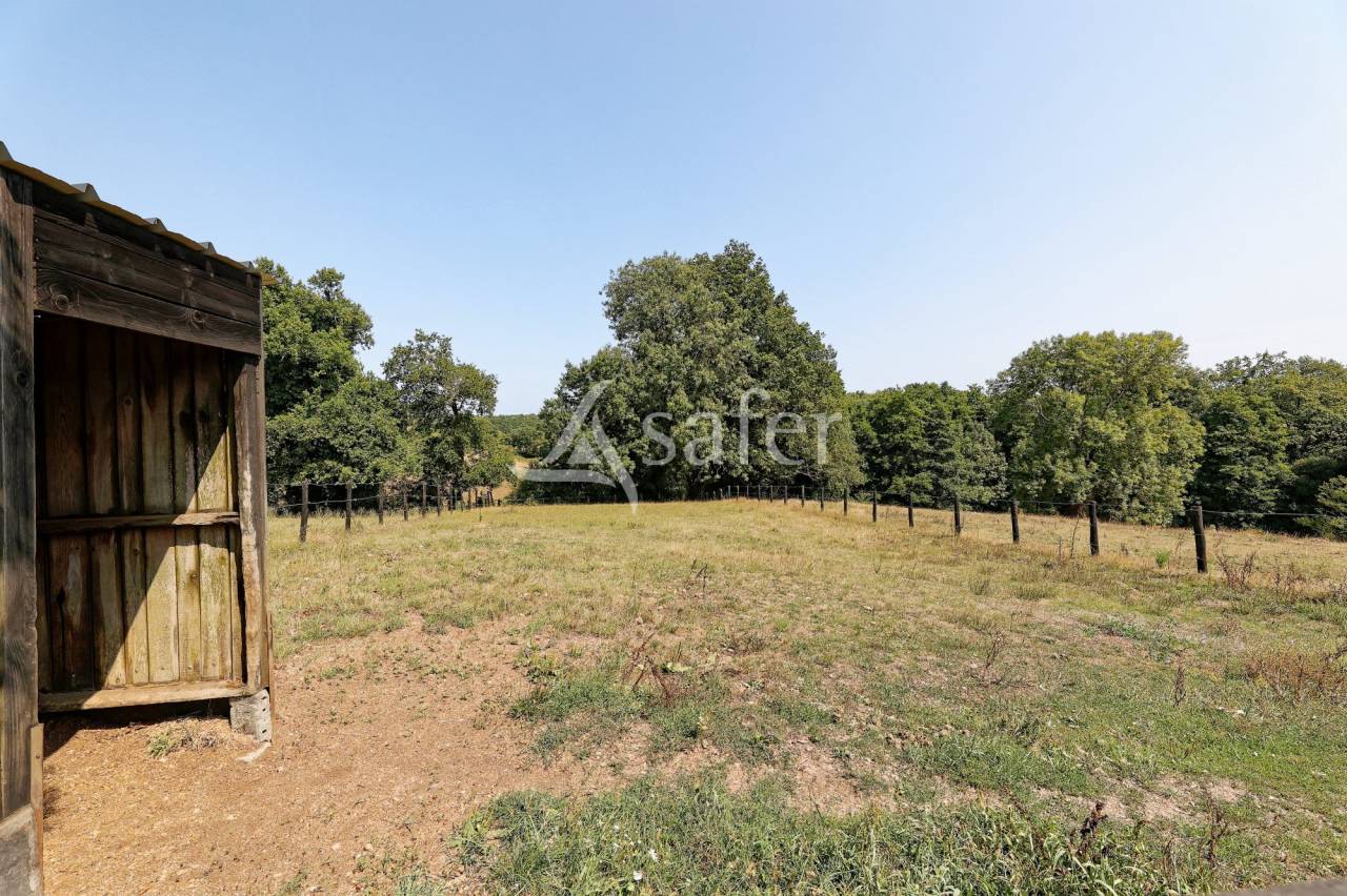 Hippisch vastgoed Koop Vend&eacute;e