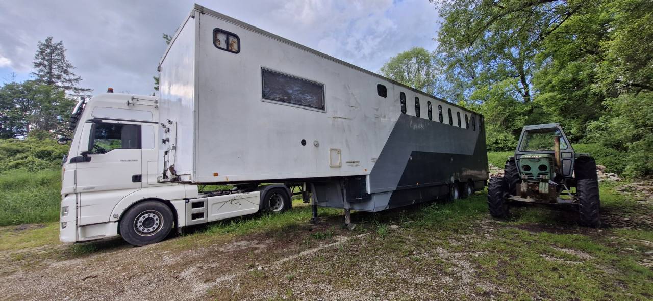 Paardentruck Andere merken  1991 Tweedehands