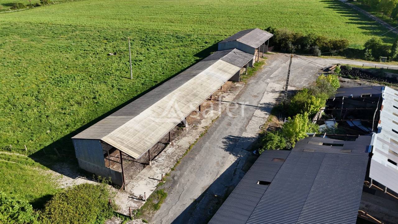 Landbouw bedrijf Koop Manche