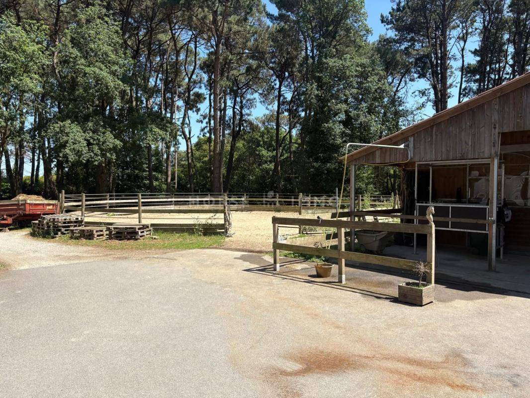 Hippisch vastgoed Koop Loire-Atlantique