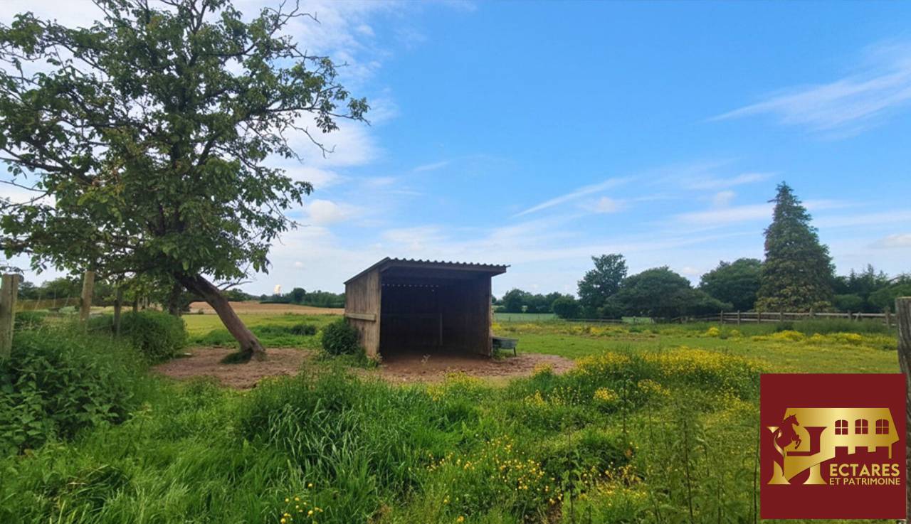 Eigenaren stal Koop Ain