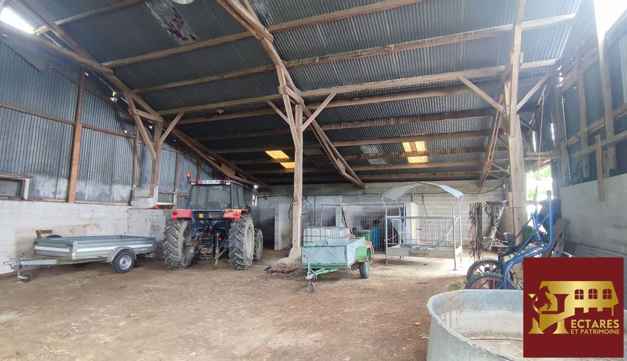 Eigenaren stal Koop Ain