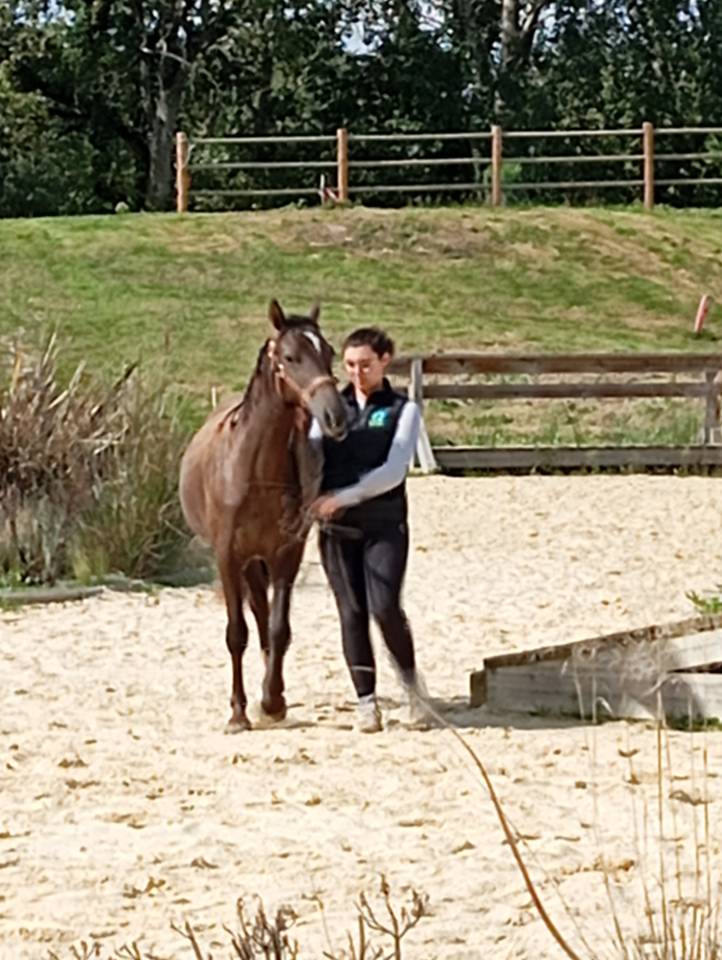 Veulen (vr) Franse rijpony PFS Te koop 2024 Zwart ,  Ibiza d arg&aacute;n