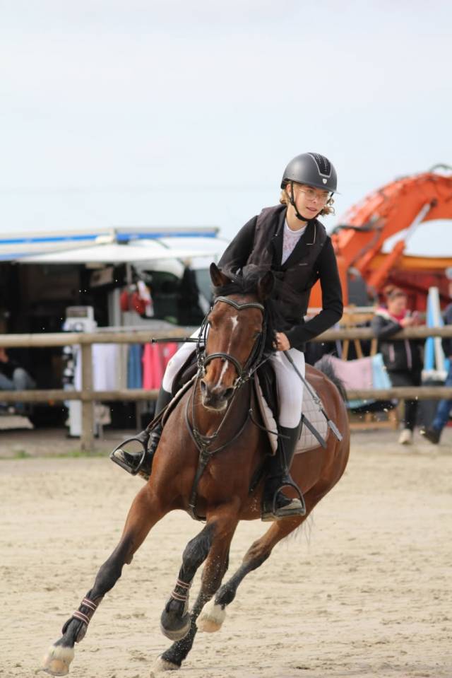 Merrie Franse rijpony PFS Te koop 2019 Donker bruin / bai