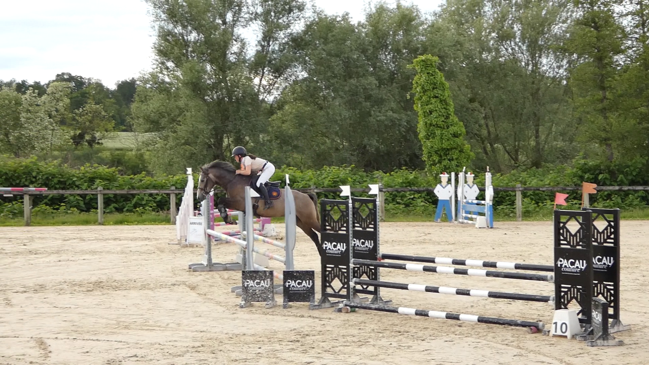 Ruin Welsh Partbred Te koop 2022 Schimmel ,  EFUSIVO X