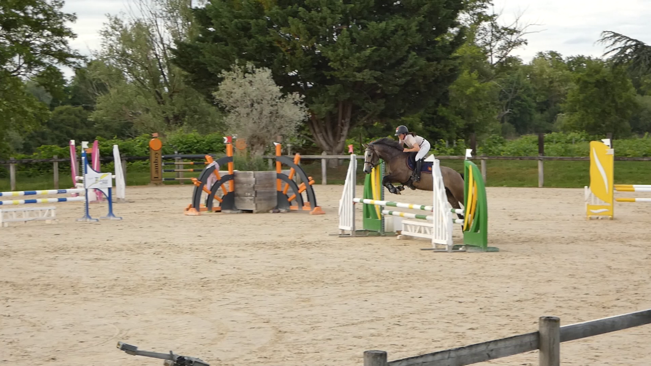 Ruin Welsh Partbred Te koop 2022 Schimmel ,  EFUSIVO X