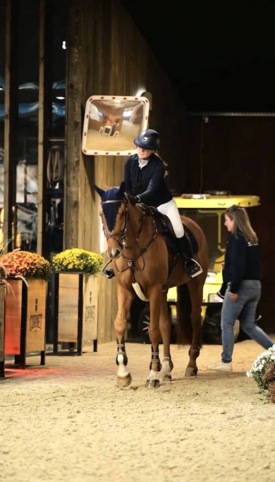 Mooie talentvolle spring merrie te koop