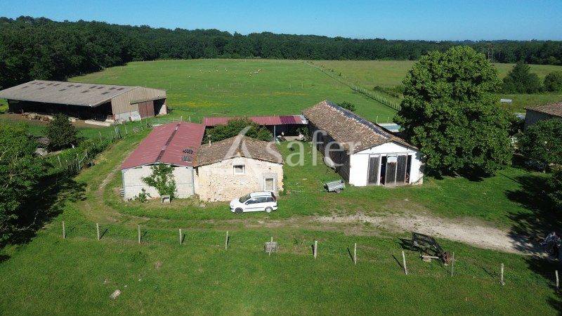 Landbouw bedrijf Koop Gironde