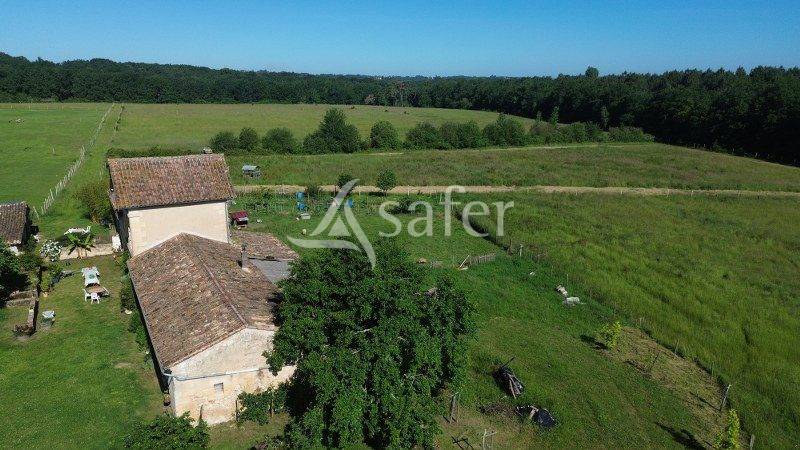 Landbouw bedrijf Koop Gironde