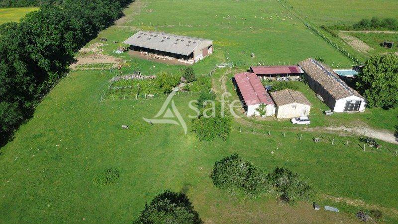 Landbouw bedrijf Koop Gironde