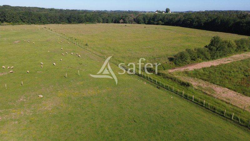 Landbouw bedrijf Koop Gironde